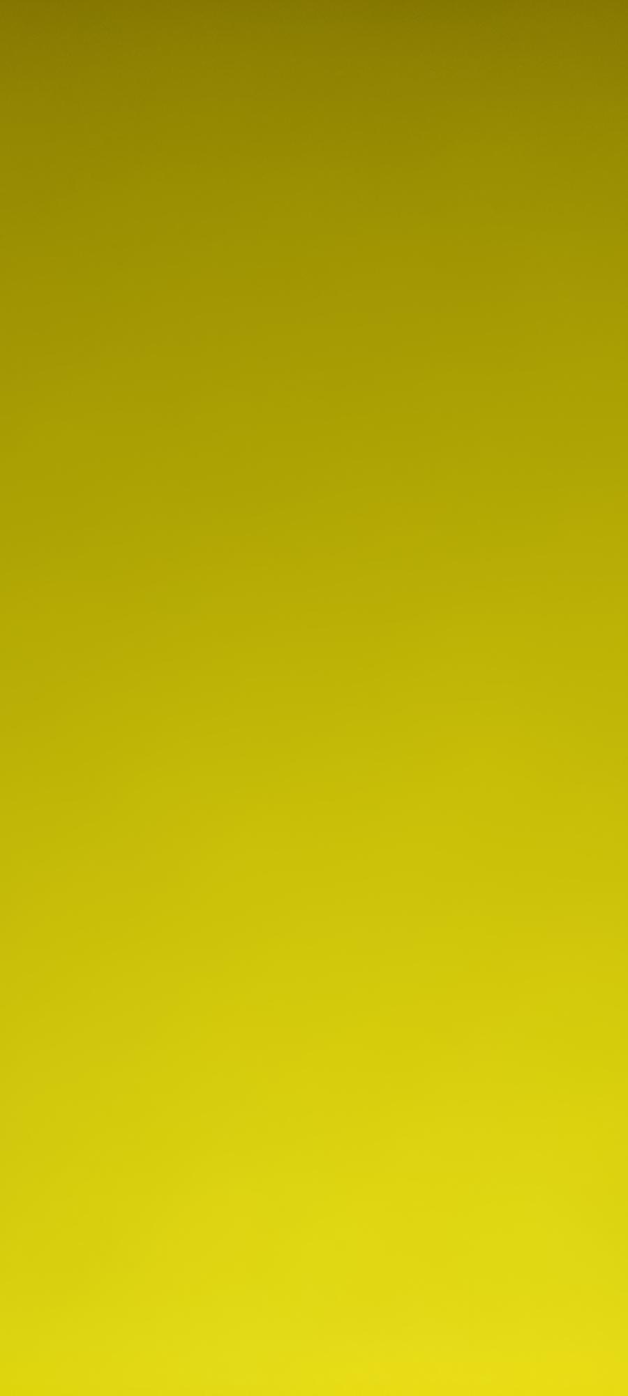 img-user-anshika-walani-stupendous