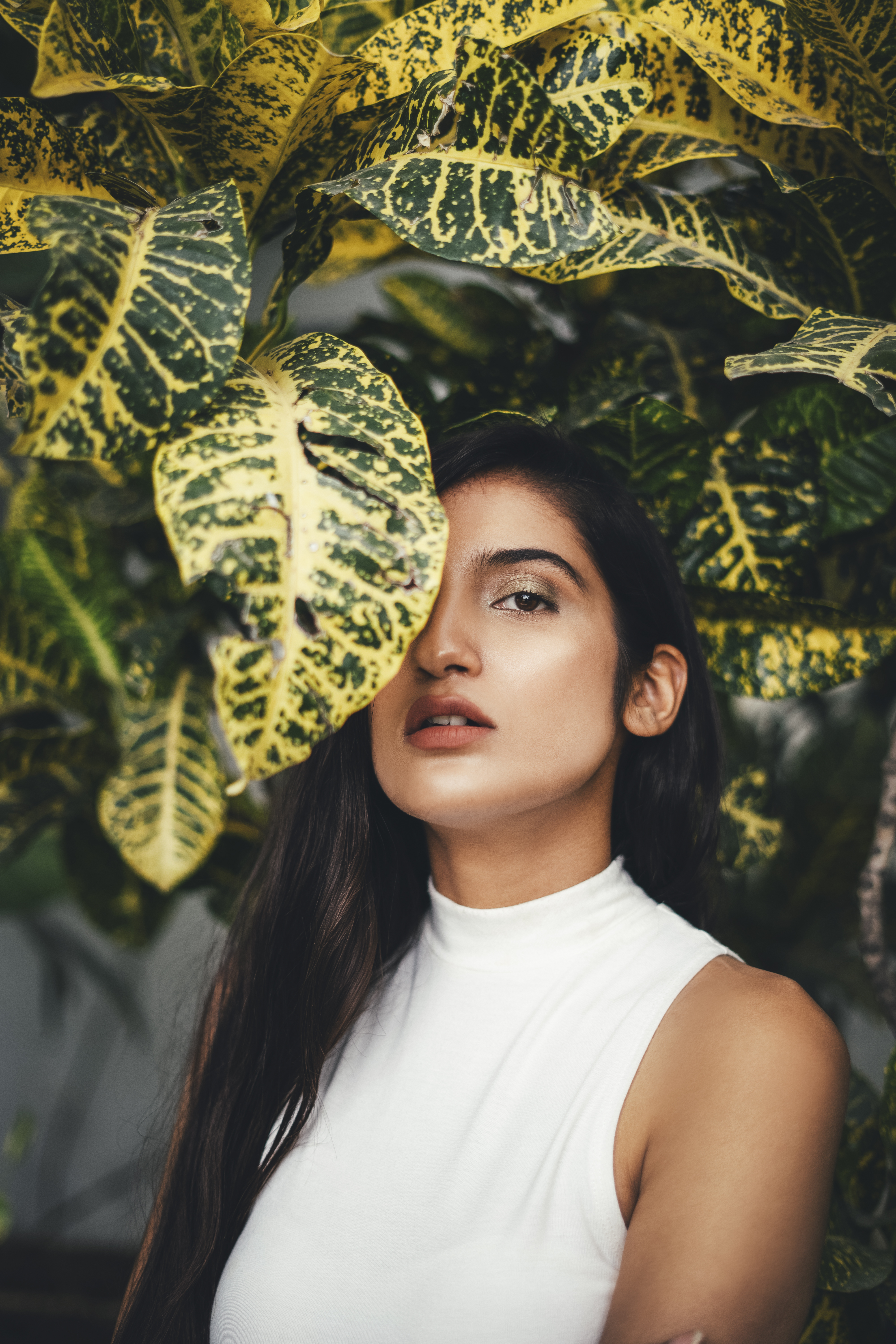 avatar of Tanvi Dahiya