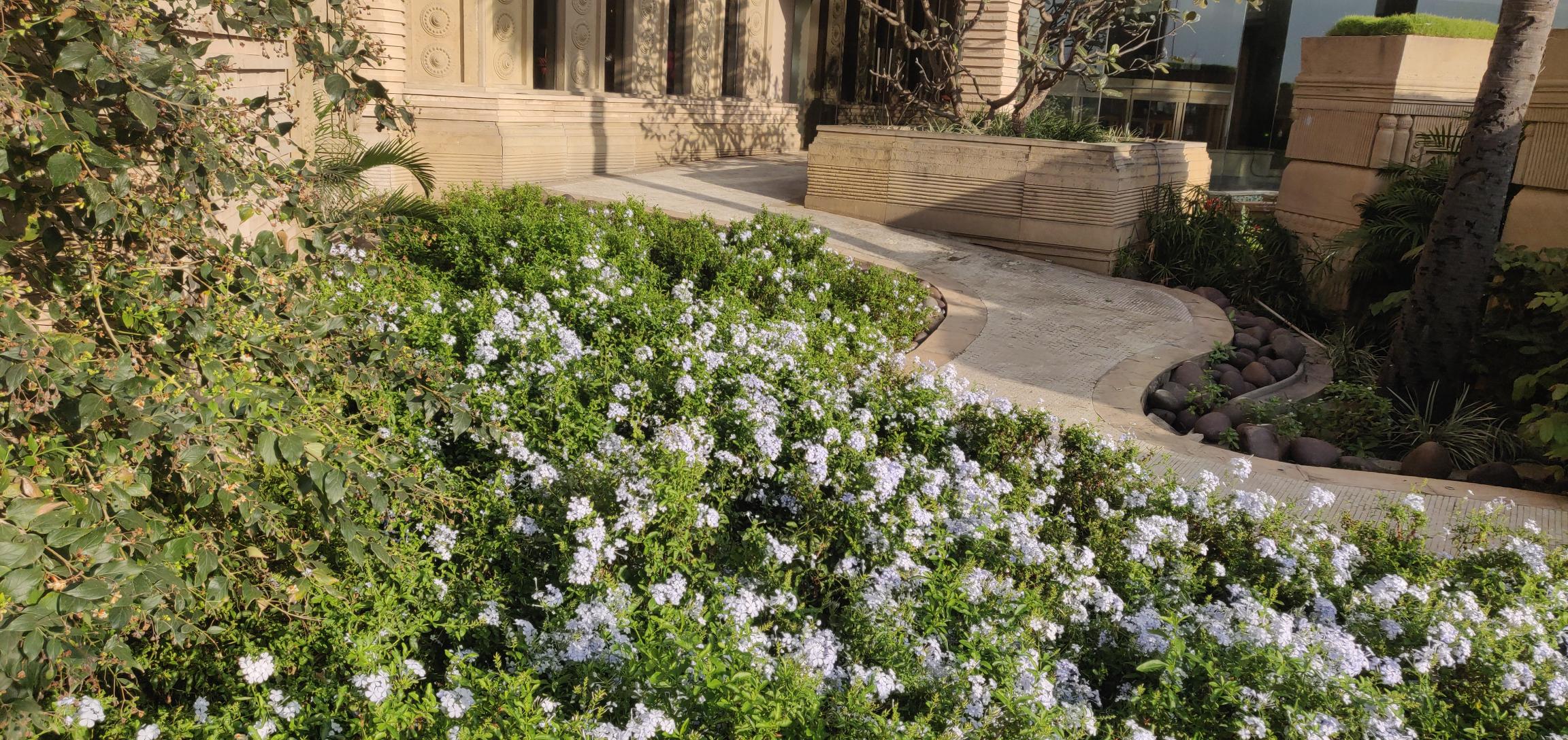 img-user-neha-goud-1296382951148_DUMMY