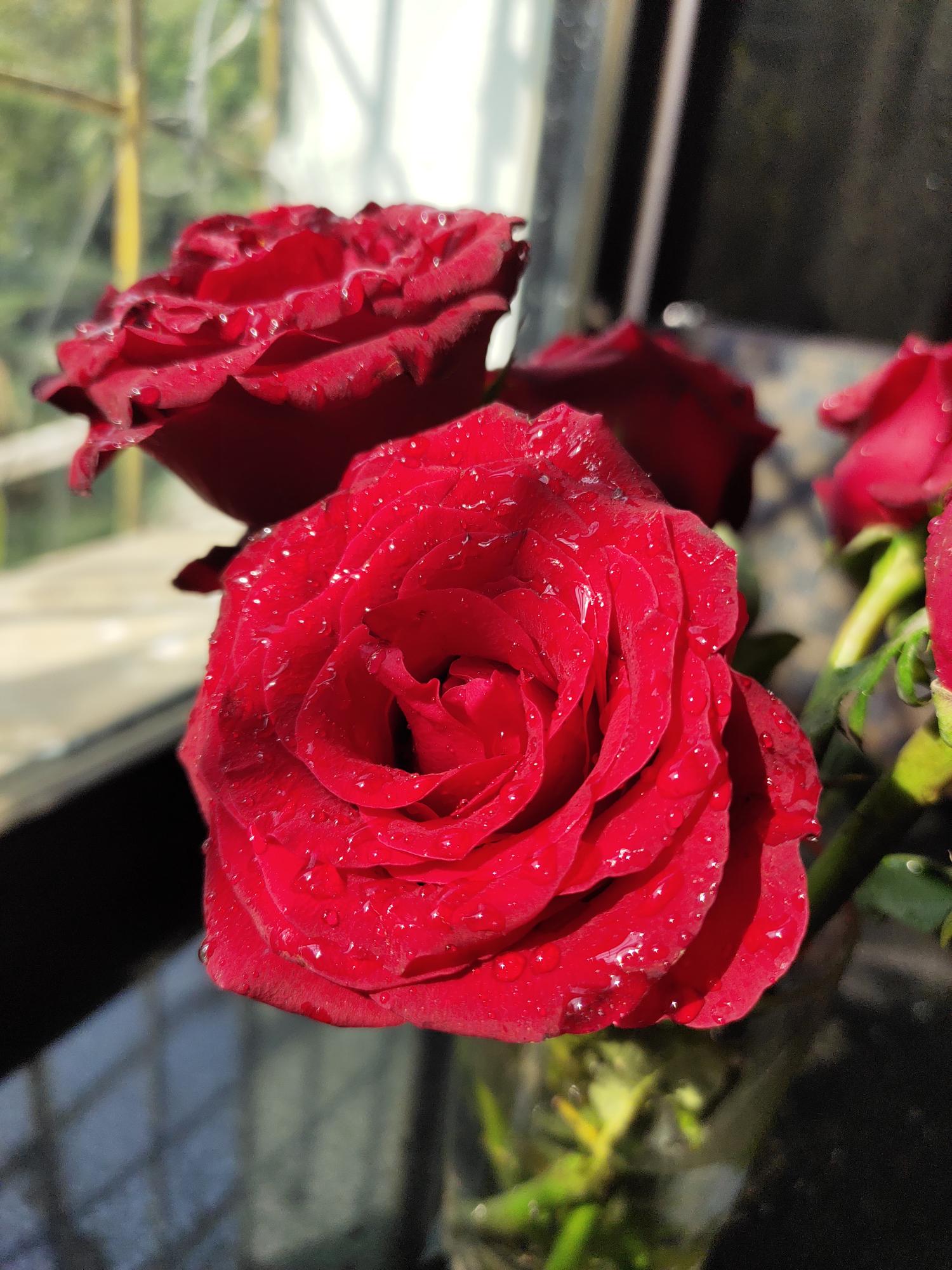 img-user-karishma-1171579038950