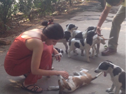 avatar of Akshita Sekhri