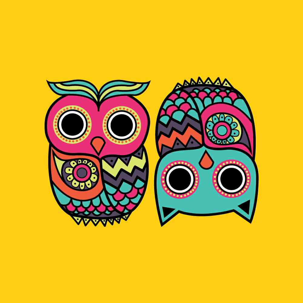 img-user-chumbak-supreme