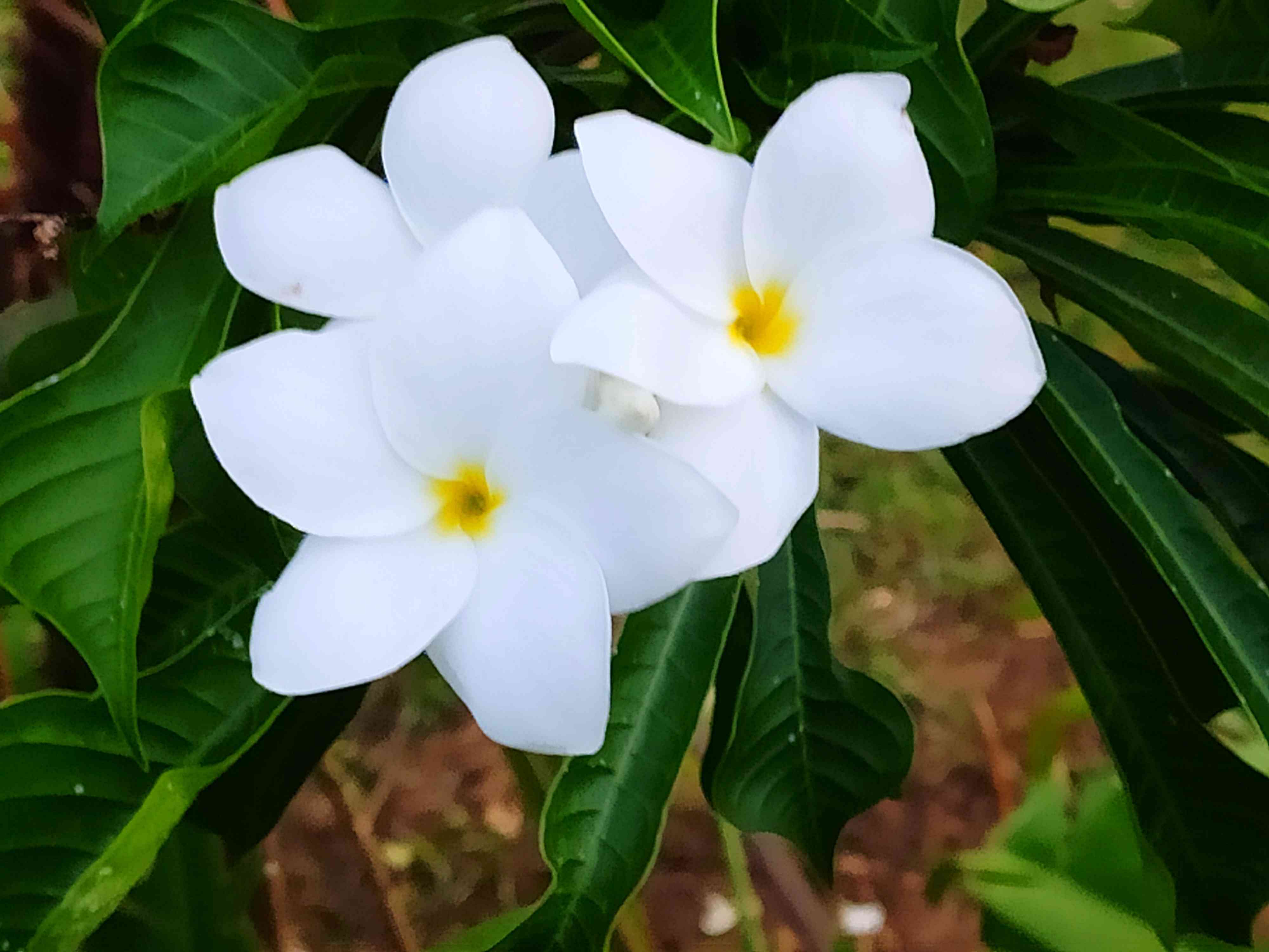 img-user-meera-m-1105091057597